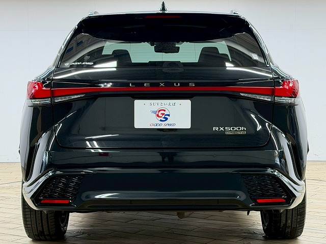 レクサス&nbsp;RXの画像19