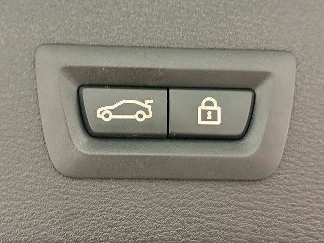 X1xDrive18d xLine RHD 内装他