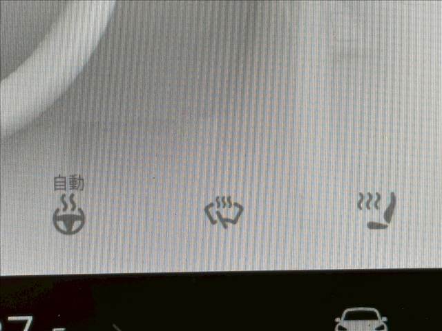 テスラ&nbsp;Model 3の画像8