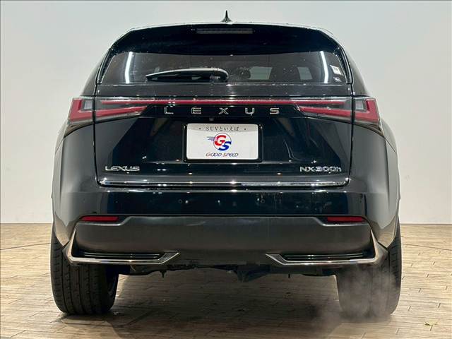 レクサス&nbsp;NXの画像13