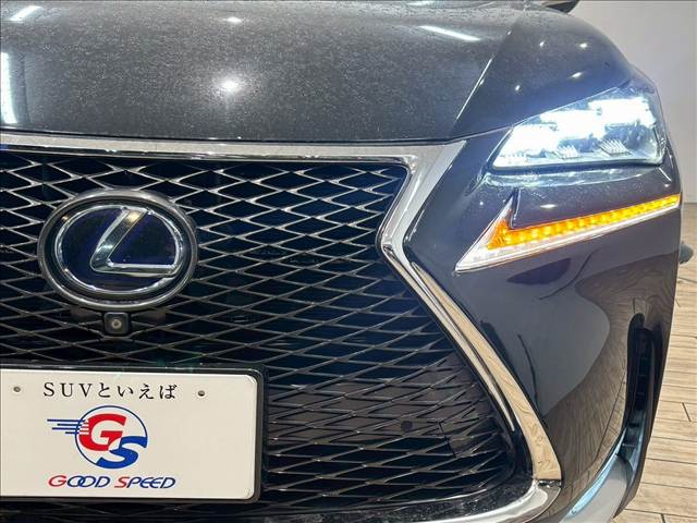 レクサス&nbsp;NXの画像19