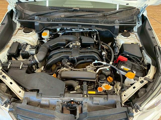 スバル&nbsp;フォレスターの画像20