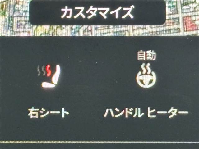 テスラ&nbsp;Model Yの画像6