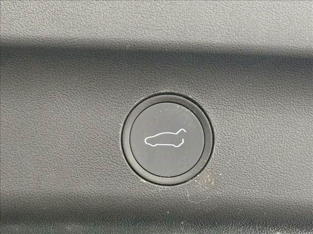 テスラ&nbsp;Model Yの画像7