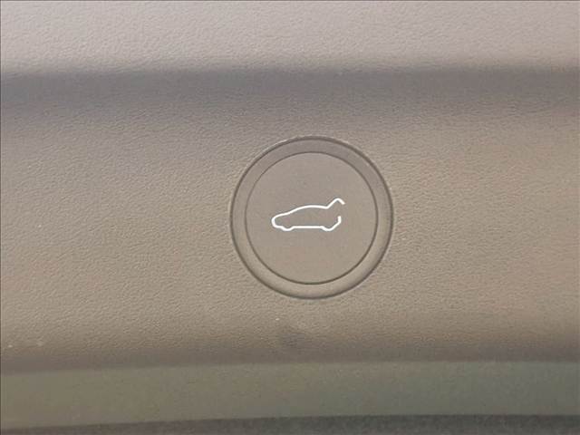 テスラ&nbsp;Model Yの画像6