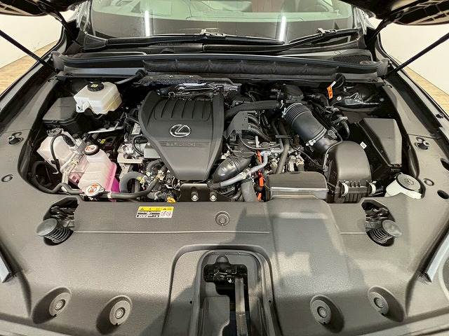 レクサス RXの画像20