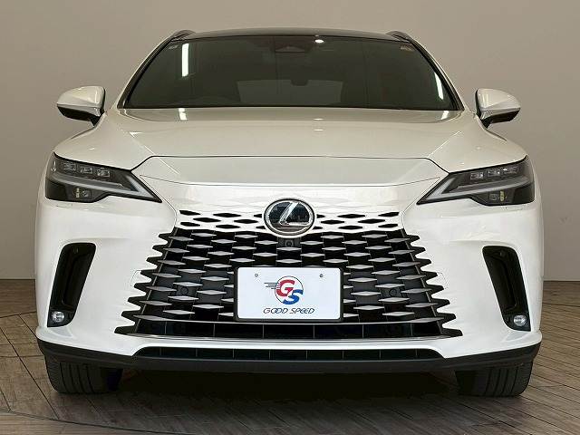 レクサス RXの画像12