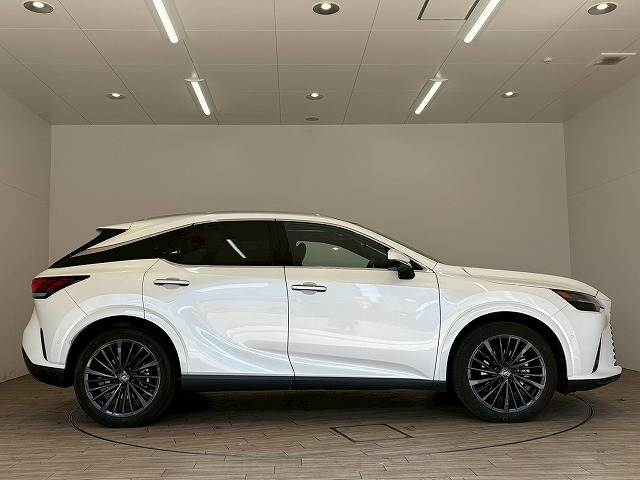 レクサス RXの画像14