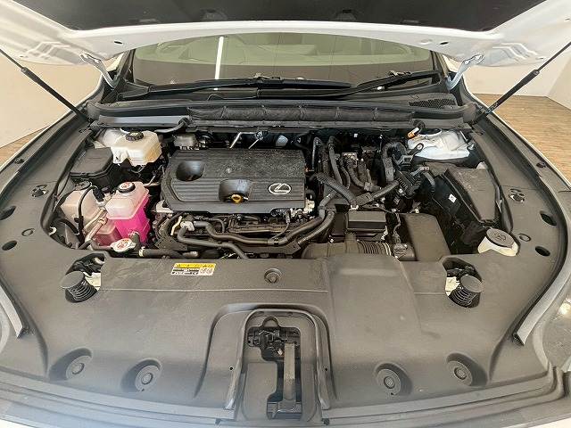 レクサス RXの画像20