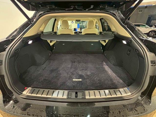 レクサス&nbsp;RXの画像11