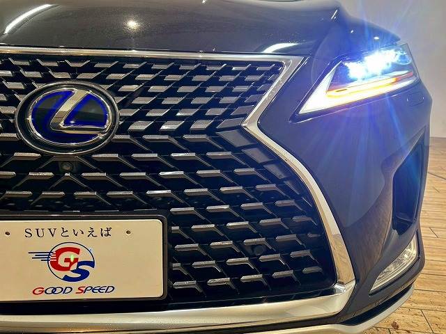 レクサス&nbsp;RXの画像19