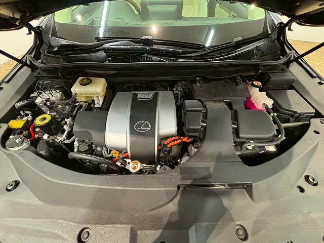 レクサス&nbsp;RXの画像20