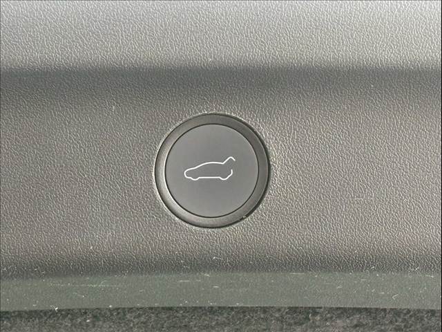 テスラ&nbsp;Model Yの画像6