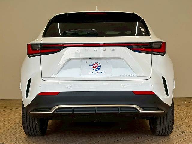 レクサス&nbsp;NXの画像13