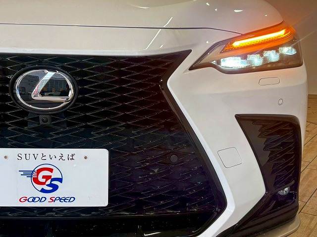 レクサス&nbsp;NXの画像19
