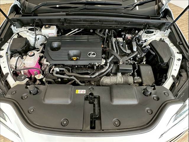 レクサス&nbsp;NXの画像20