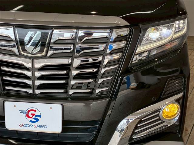 トヨタ&nbsp;アルファードの画像19