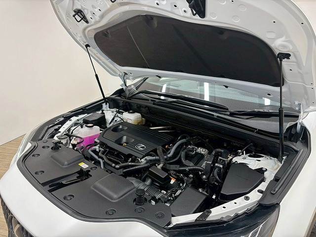 レクサス NXの画像18