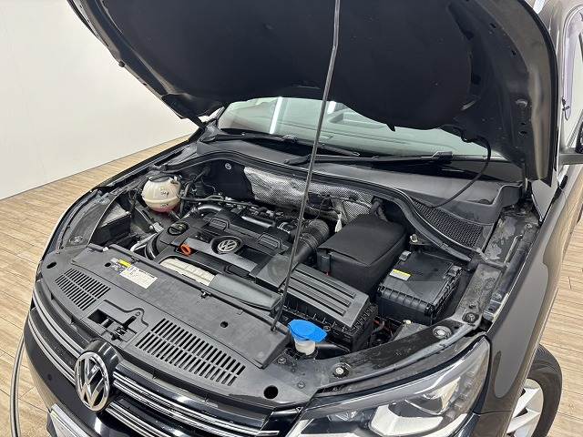 フォルクスワーゲン Tiguanの画像18