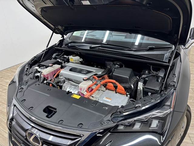 レクサス NXの画像18