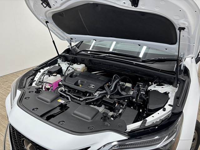 レクサス NXの画像18