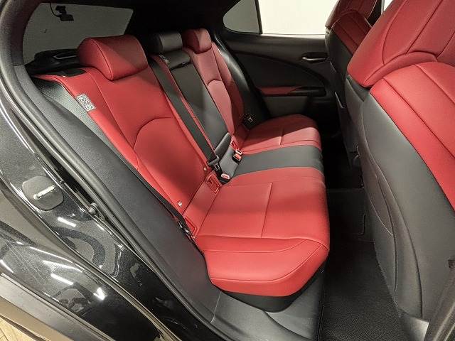 UXUX250h“F SPORT” 内装他