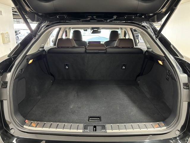 レクサス RXの画像13