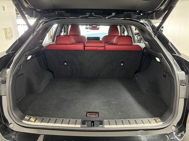 レクサス RXの画像13