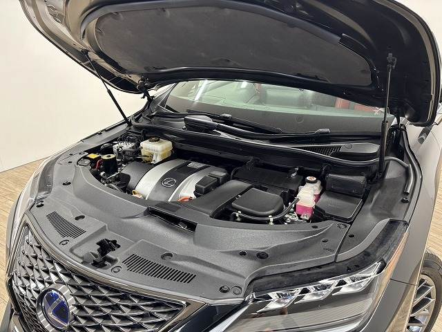 レクサス RXの画像18