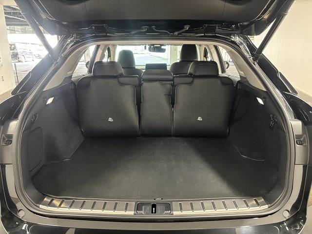 レクサス RXの画像13