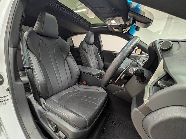 ESES300h “F SPORT” 内装他