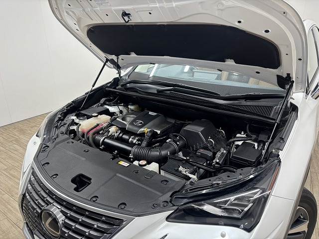 レクサス NXの画像18