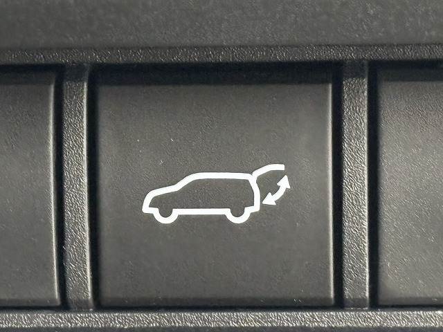 トヨタ ランドクルーザー250の画像9