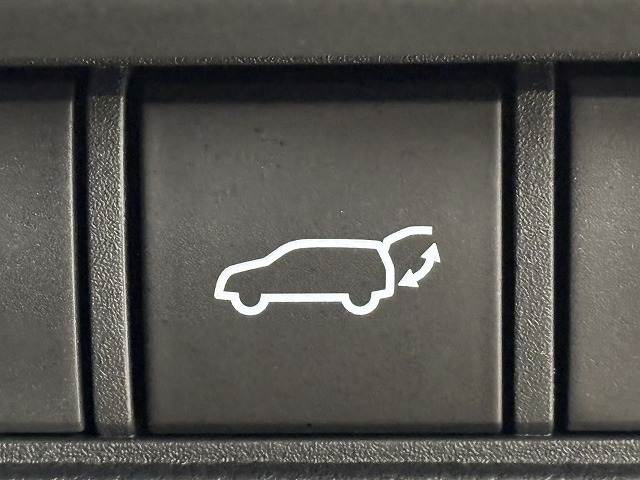 トヨタ ランドクルーザー250の画像12