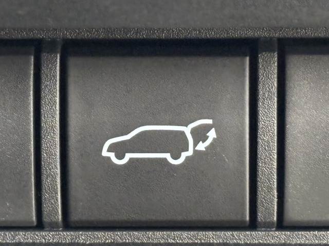 トヨタ ランドクルーザー250の画像12