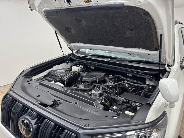 トヨタ&nbsp;ランドクルーザープラドの画像18