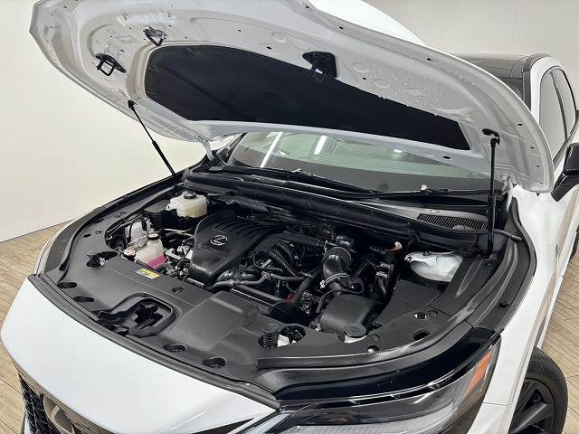 レクサス&nbsp;RXの画像18