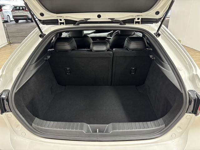 マツダ&nbsp;MAZDA3 FASTBACKの画像13