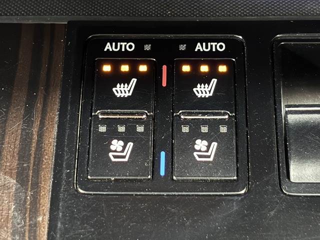 レクサス&nbsp;RXの画像10