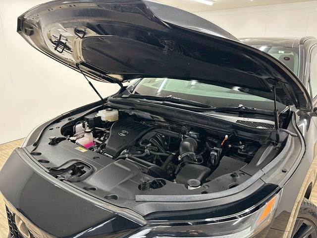 レクサス&nbsp;RXの画像18