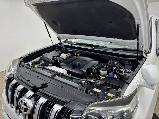 トヨタ&nbsp;ランドクルーザープラドの画像18