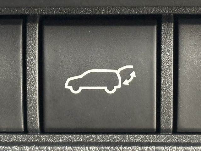 トヨタ&nbsp;ランドクルーザー250の画像11