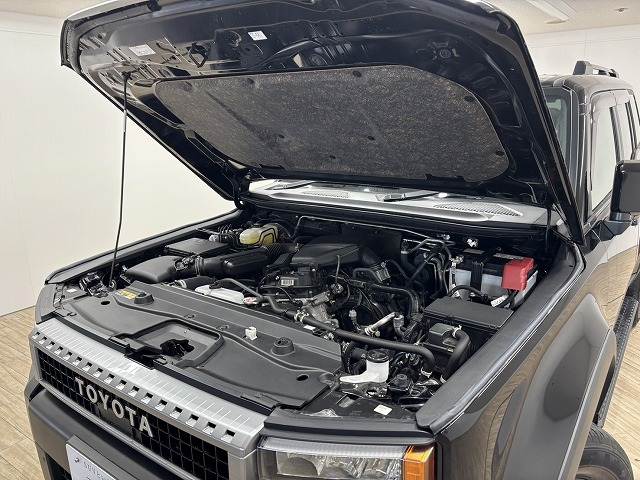 トヨタ&nbsp;ランドクルーザー250の画像18