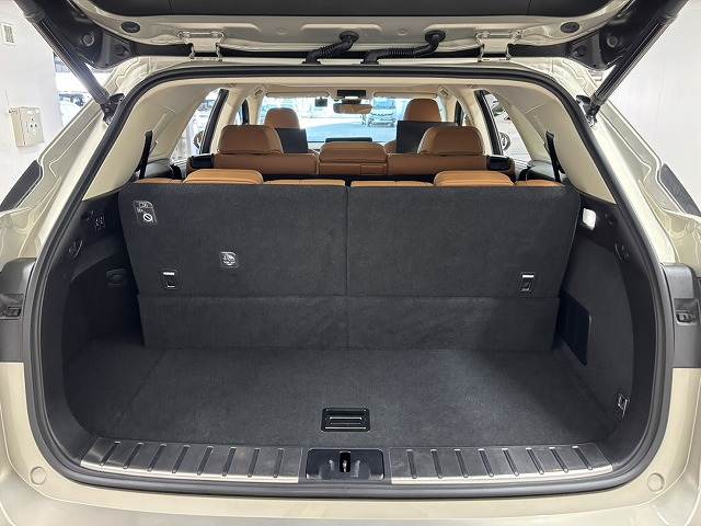 レクサス&nbsp;RXの画像13