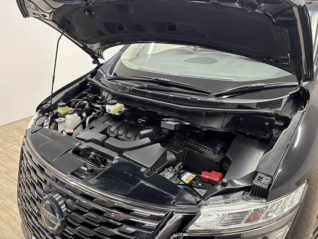 日産&nbsp;エルグランドの画像18