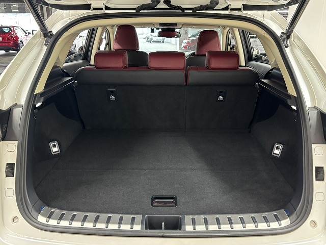 レクサス&nbsp;NXの画像13