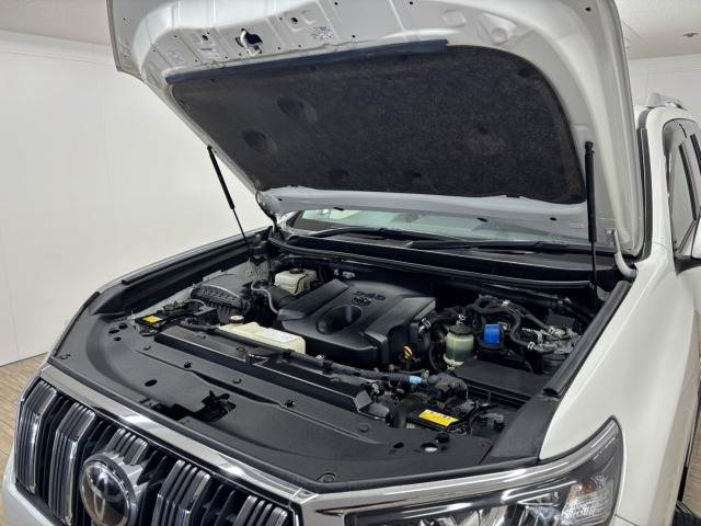 トヨタ&nbsp;ランドクルーザープラドの画像18