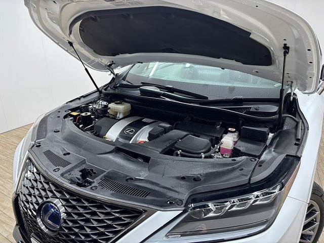 レクサス&nbsp;RXの画像18