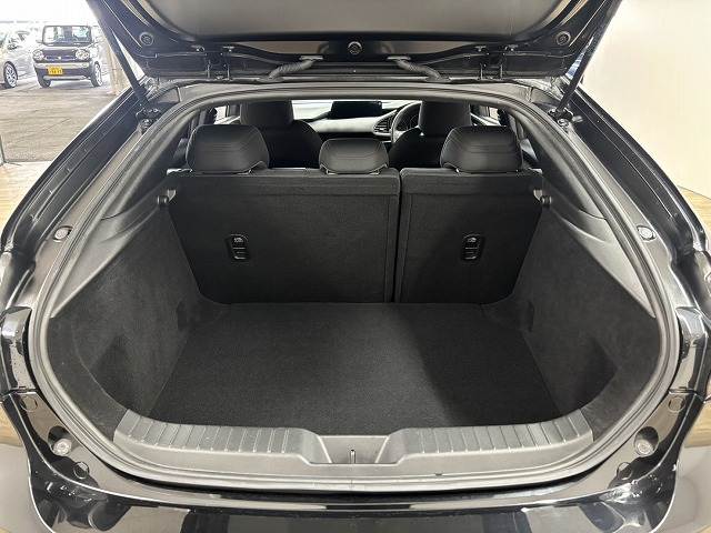 マツダ&nbsp;MAZDA3 FASTBACKの画像13