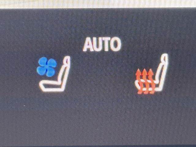 トヨタ&nbsp;ヴェルファイアハイブリッドの画像10